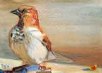 Original Oil Painting, Hoover,nature painting of a sparrow,by DAW