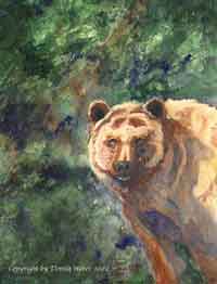 Peekaboo Bear, original watercolor, wildlife painting of a bear, by DAW